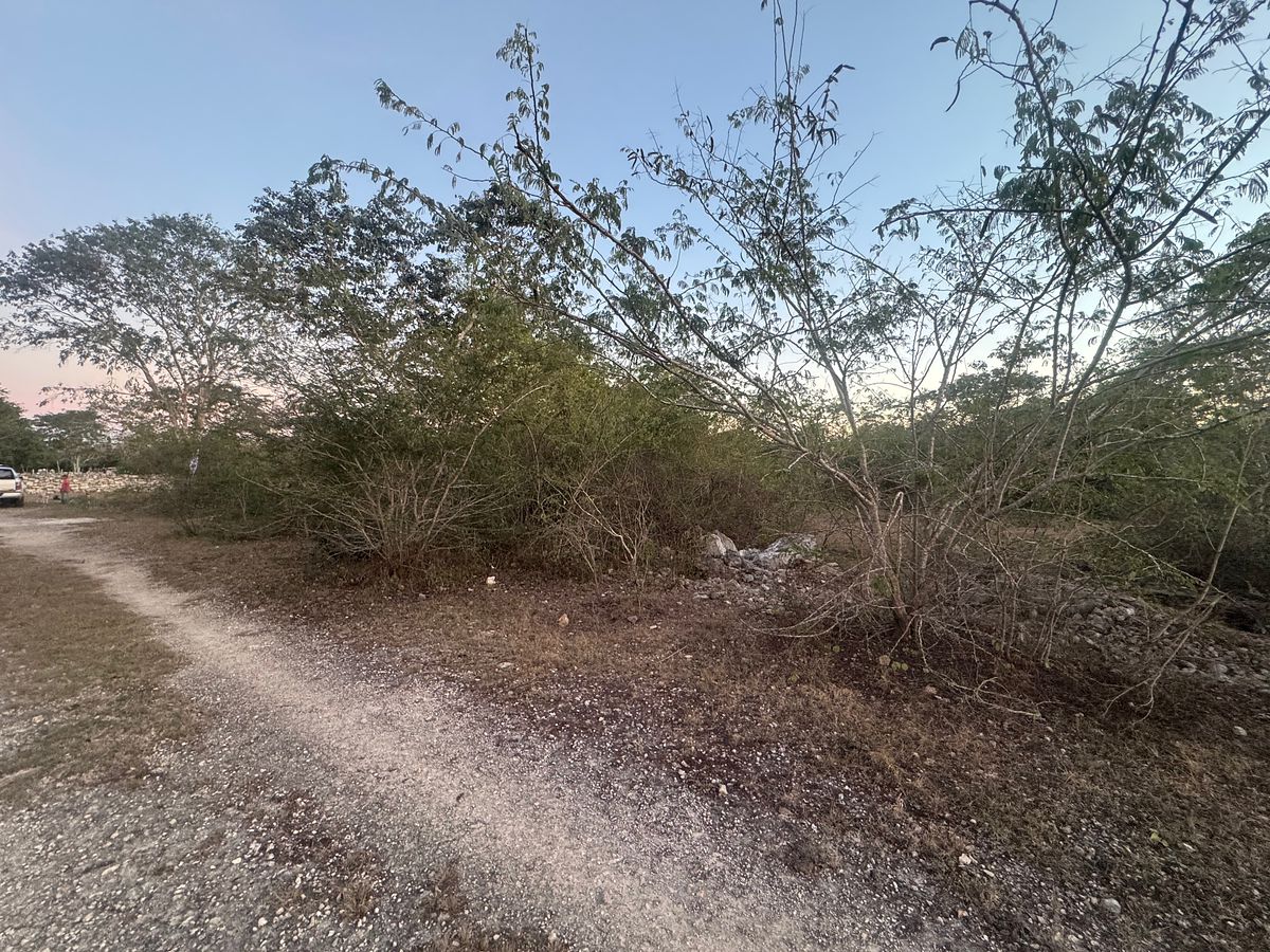 Lote em Conkal, Conkal, foto 8 de 10