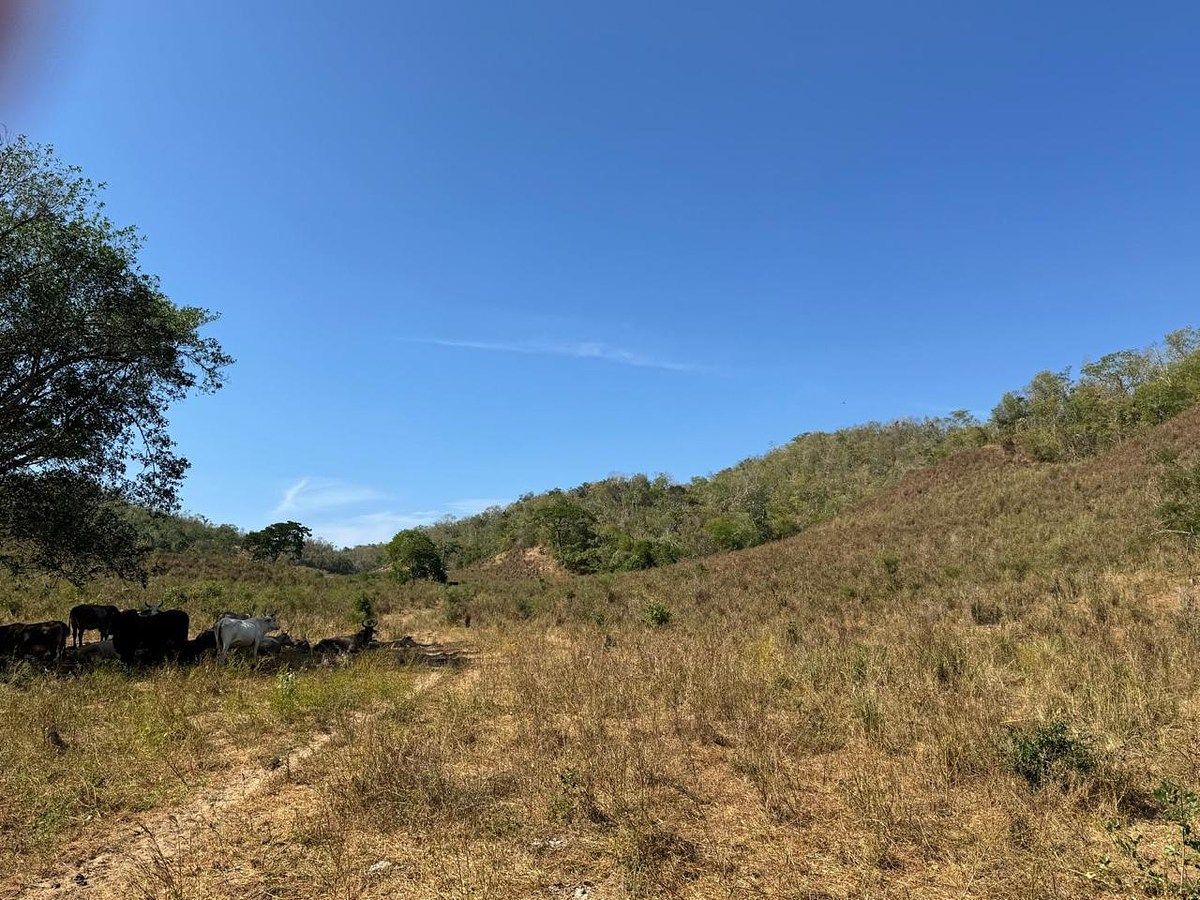 Terreno en Tomatlan, Tomatlán, foto 13 de 21