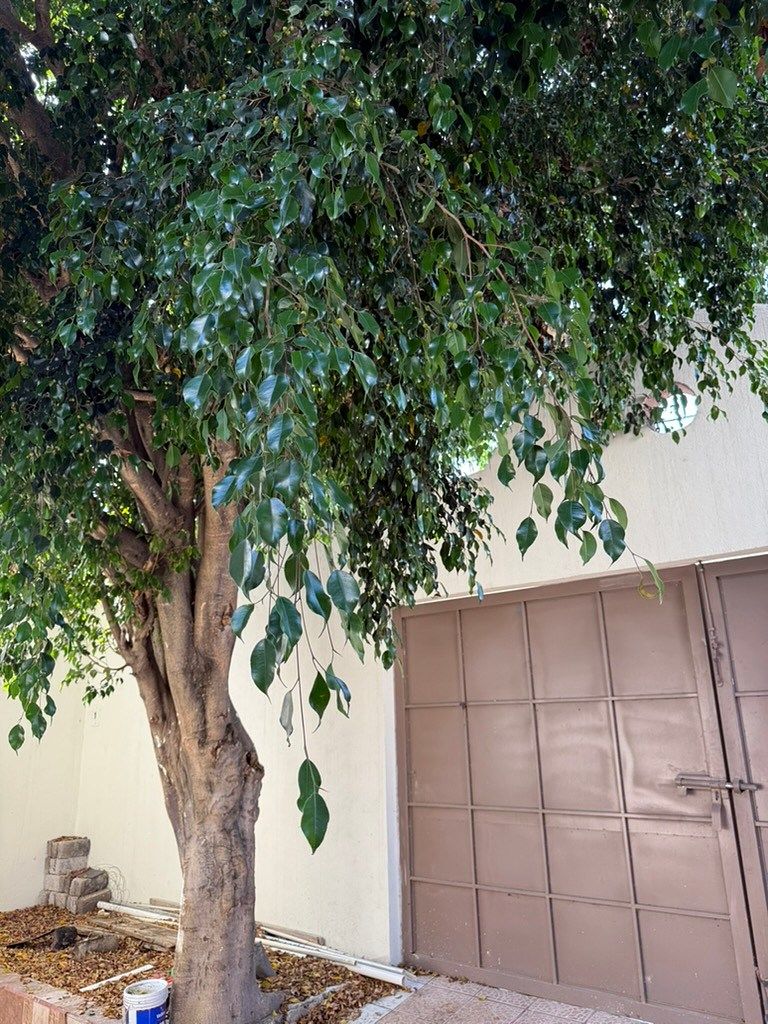 Casa en Rincón Tarasco, Morelia, foto 16 de 24