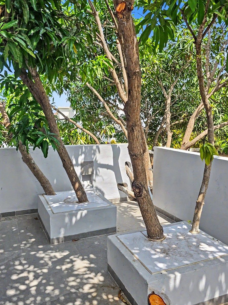 Casa em condomínio fechado em Nuevo Vallarta, Bahía de Banderas, foto 15 de 23