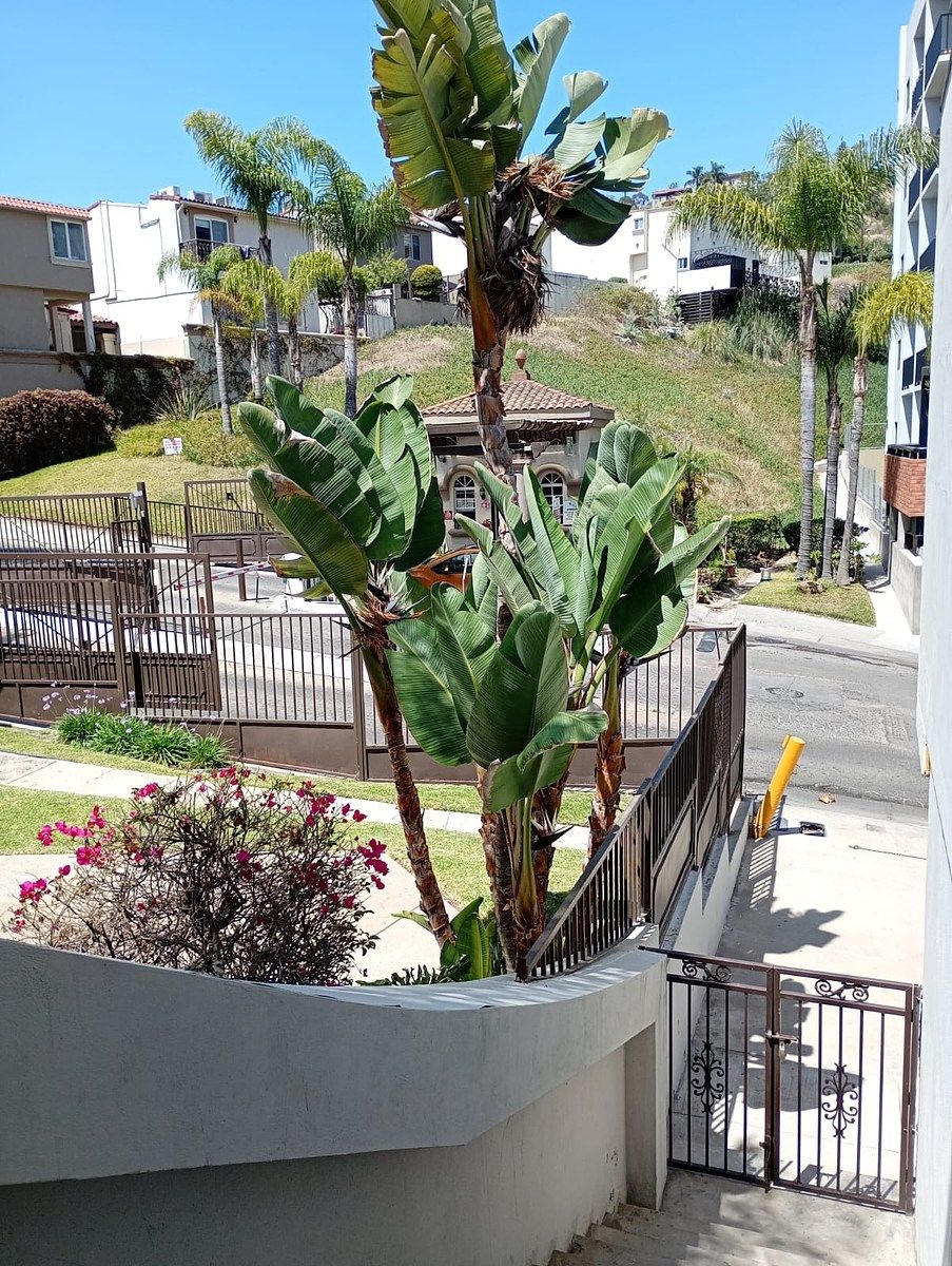 Departamento en Colinas del Rey, Tijuana, foto 15 de 16