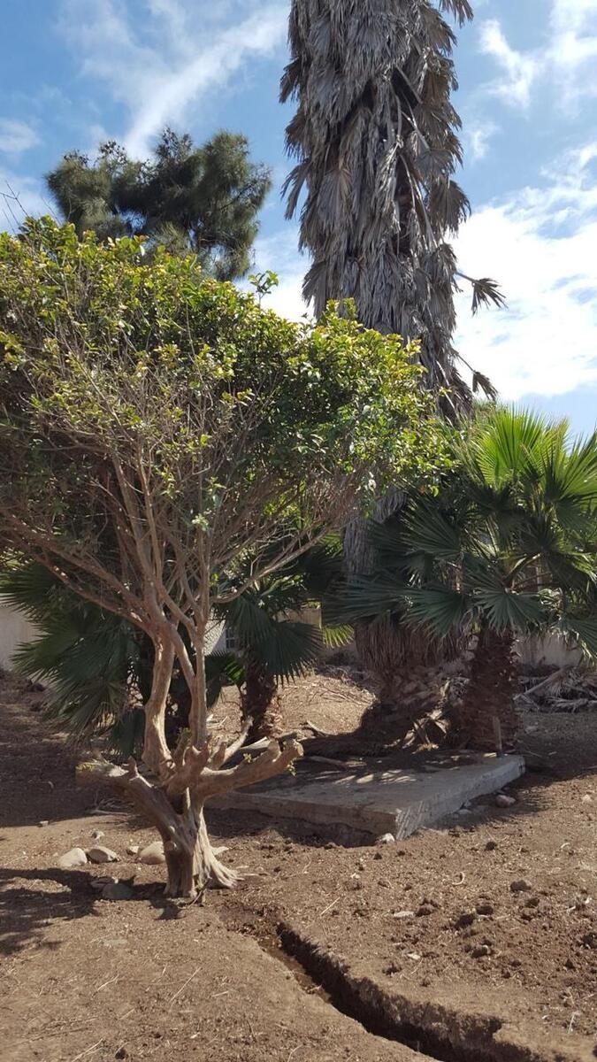 Lote em Lomas de Montecarlo, Playas de Rosarito, foto 3 de 12