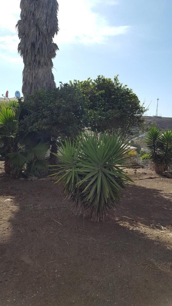 Lote em Lomas de Montecarlo, Playas de Rosarito, foto 5 de 12