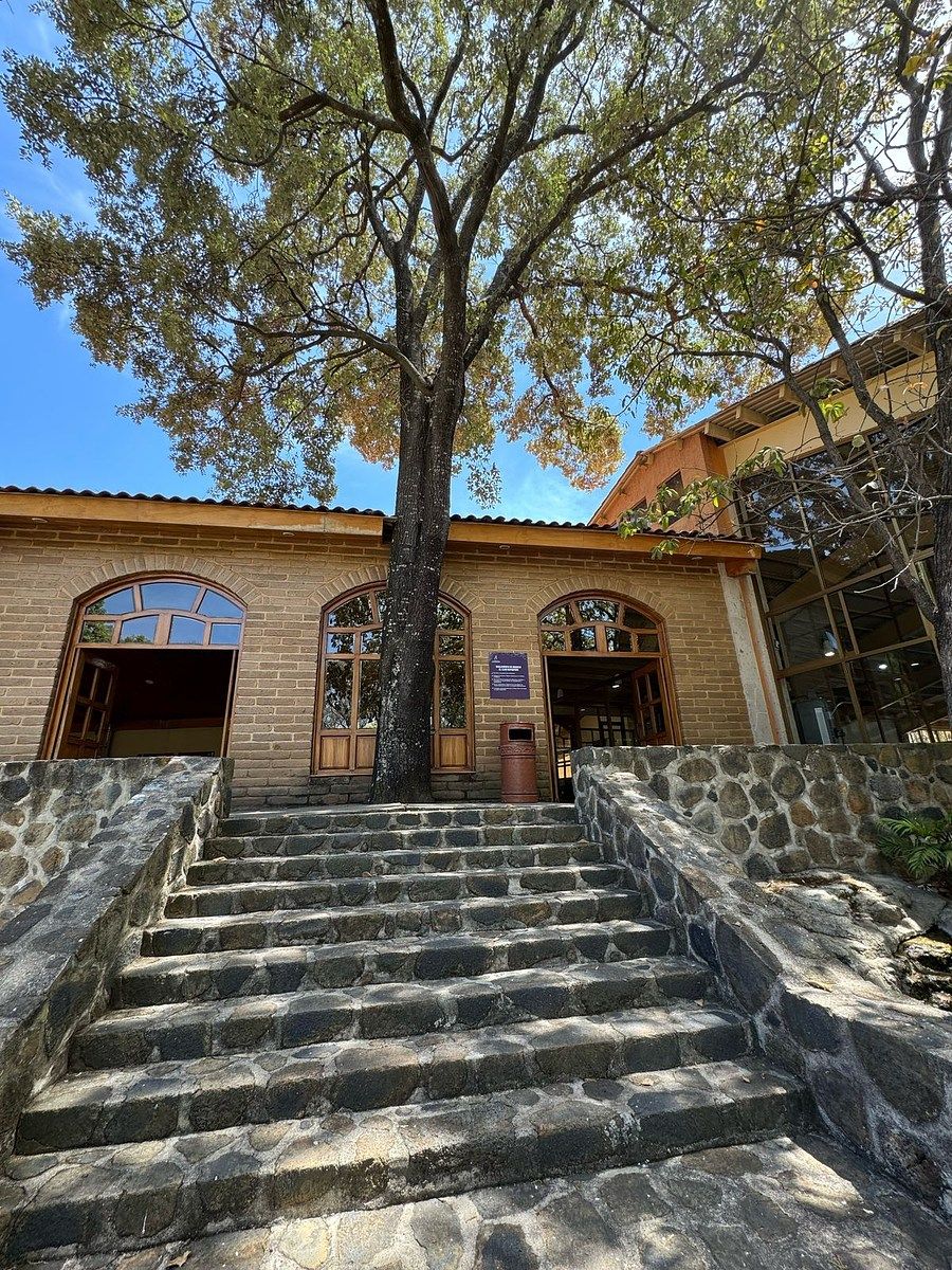 Lote em Teuchitlán, Teuchitlán, foto 3 de 12