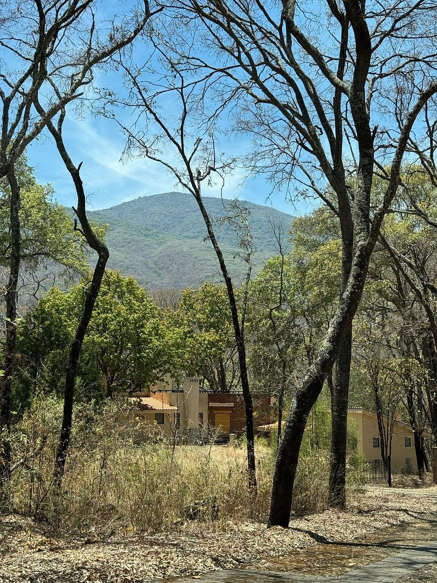 Lote em Teuchitlán, Teuchitlán, foto 8 de 12
