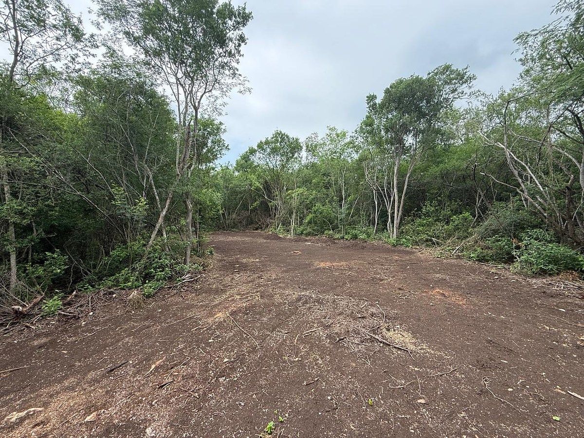 TERRENO EN VENTA SAN MATEO, JUAREZ, NUEVO LEON., foto 1 de 5