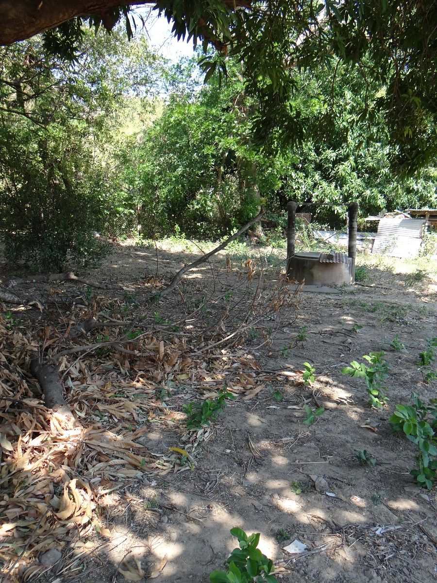 Lote em 6 de Diciembre, Tonalá, foto 7 de 7