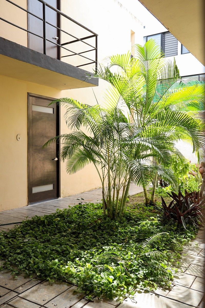 Departamento en Nueva Revolución, Mérida, foto 5 de 5
