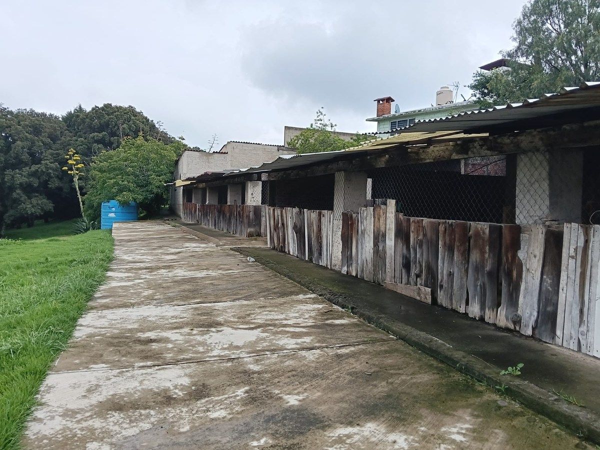 Fazenda em Espíritu Santo, Jilotzingo, foto 45 de 49