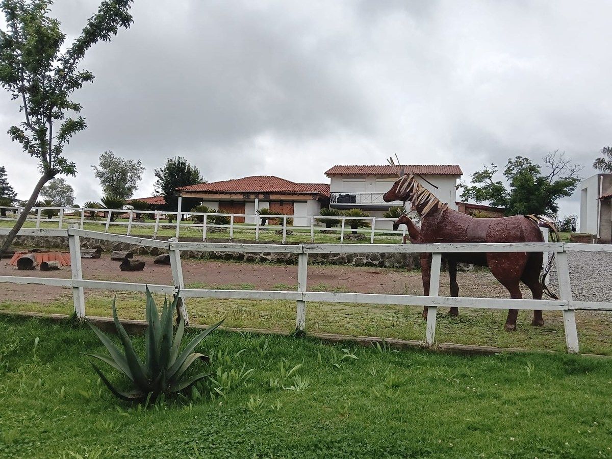 Fazenda em Espíritu Santo, Jilotzingo, foto 47 de 49