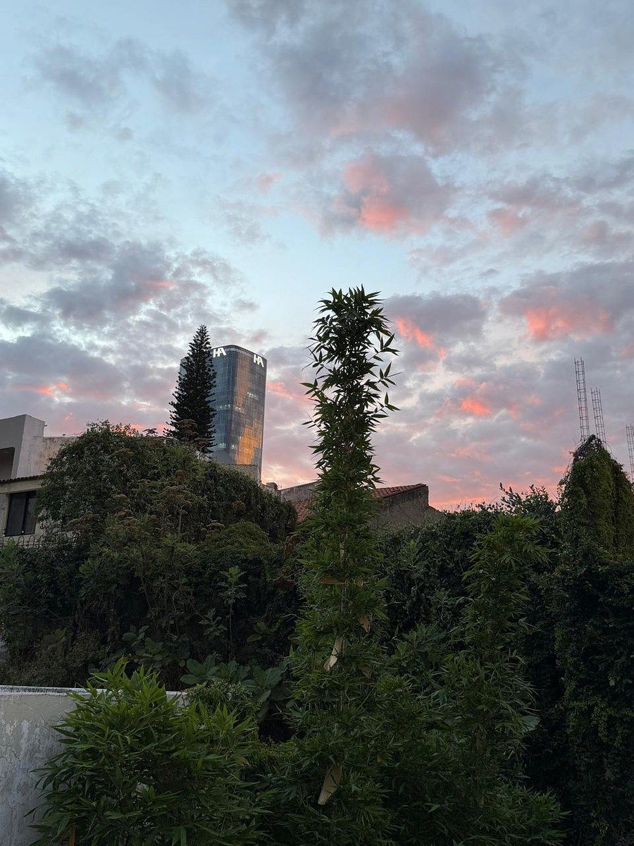 Casa em Villa Universitaria, Zapopan, foto 16 de 16