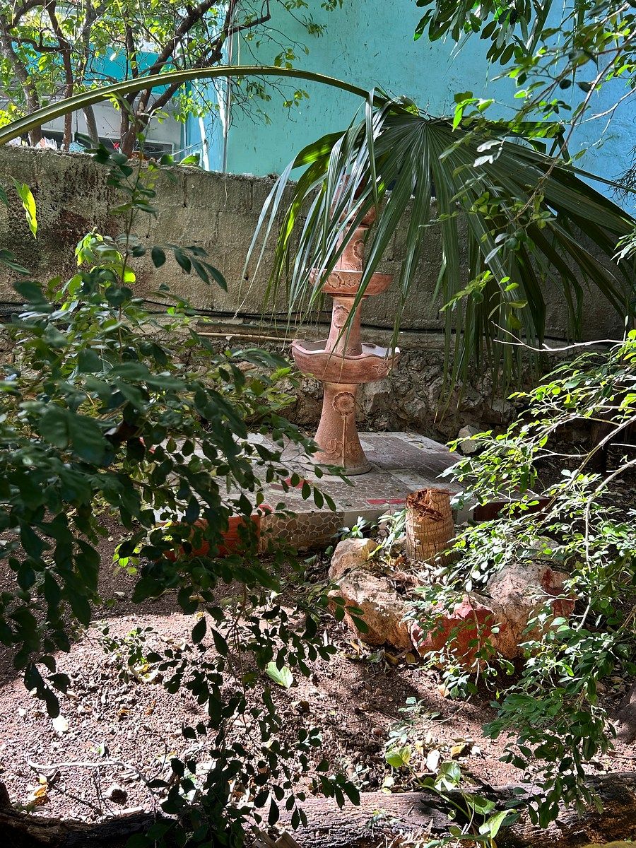 Casa en Mérida Centro, Mérida, foto 18 de 49