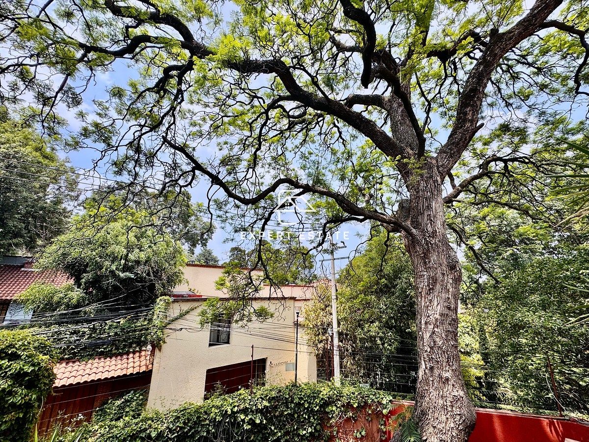 House in Tlacopac, Álvaro Obregón, photo 10 of 46