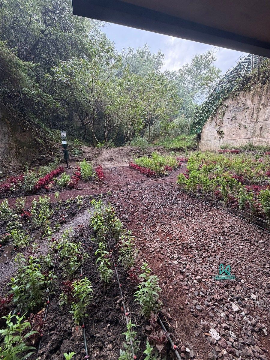 Apartamento em Lomas de Bezares, Miguel Hidalgo, foto 20 de 20