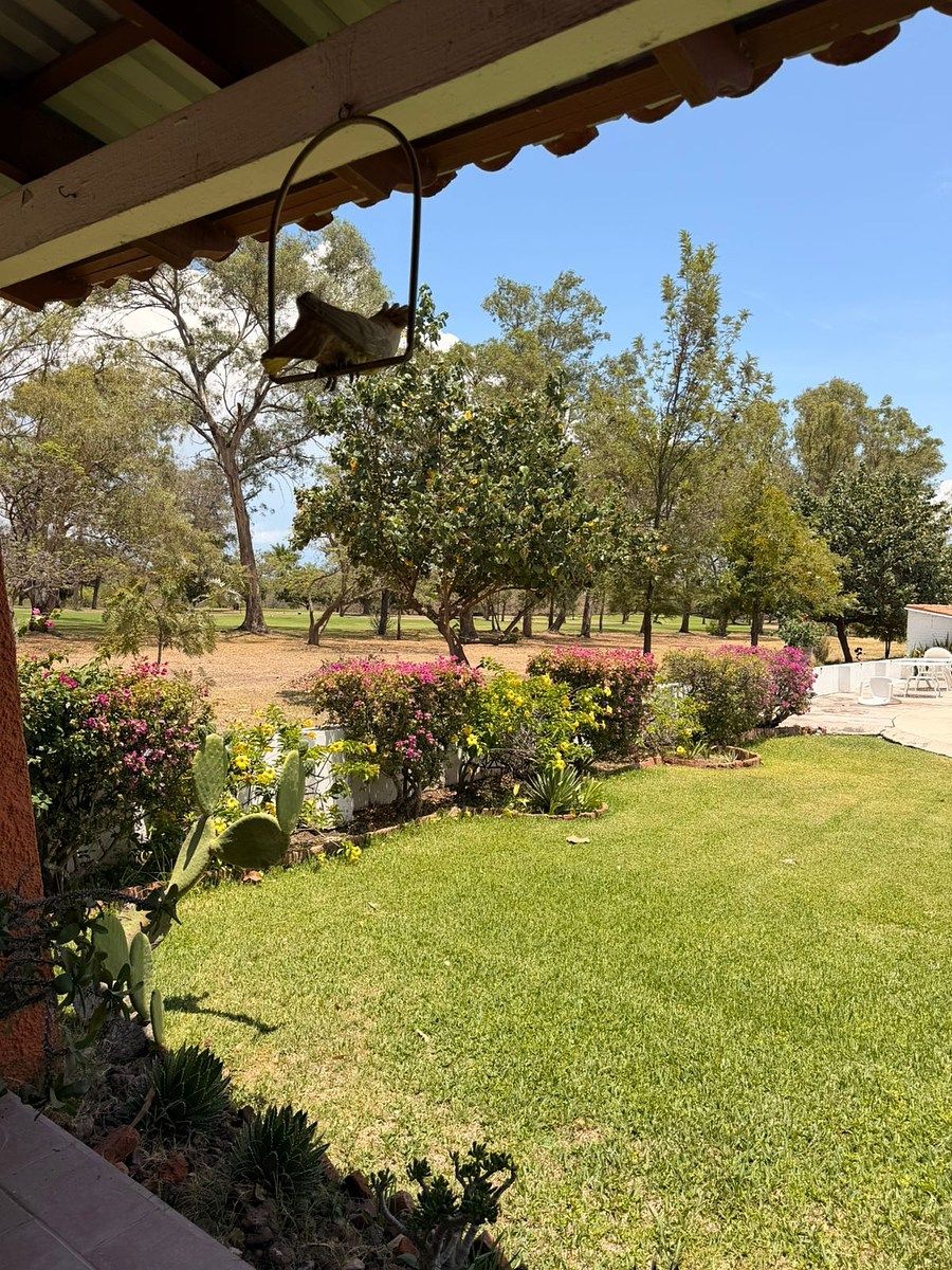 Casa en San Nicolás de Ibarra, Chapala, foto 16 de 17