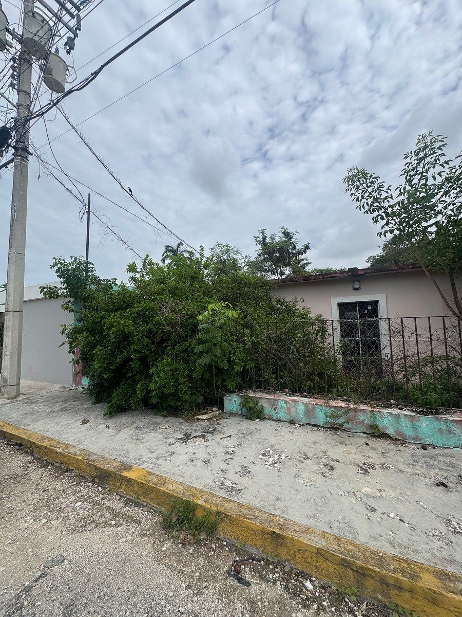 Lot in Itzimna, Mérida, photo 2 of 5