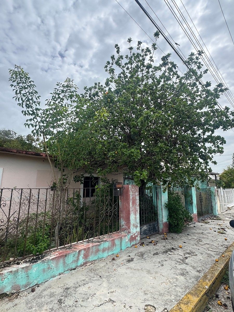 Lot in Itzimna, Mérida, photo 3 of 5