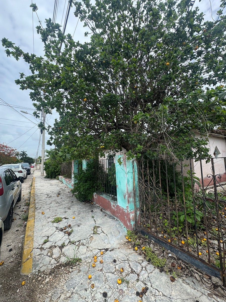 Lot in Itzimna, Mérida, photo 4 of 5