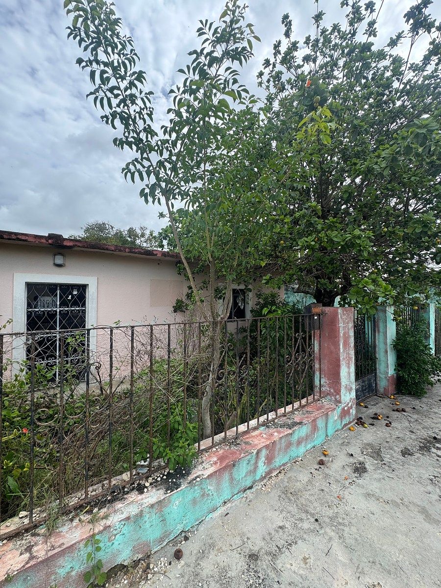 Lot in Itzimna, Mérida, photo 5 of 5