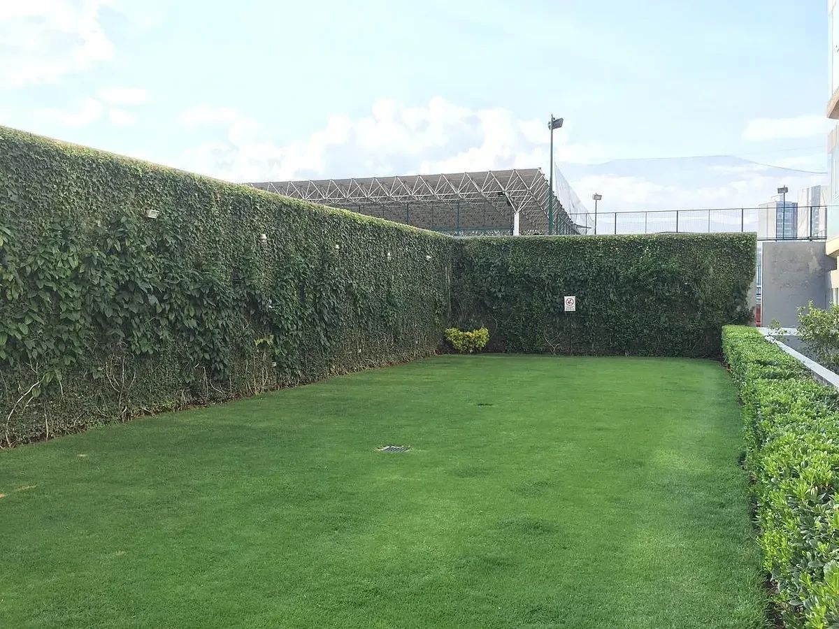 Jardin, foto 13 de 14