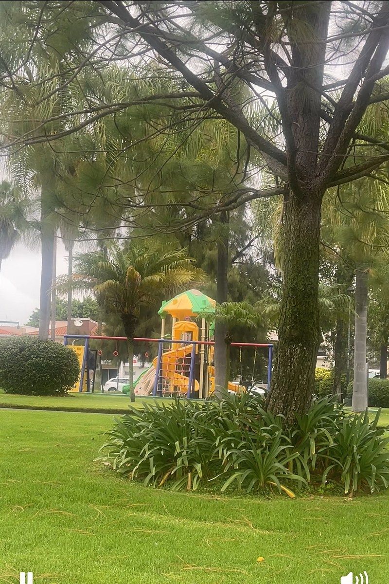 Casa en condominio en Jardín Real, Zapopan, foto 42 de 44