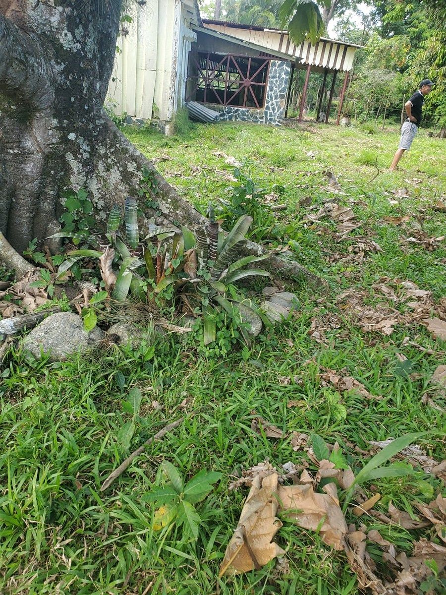 Terreno en Bonao, foto 4 de 7