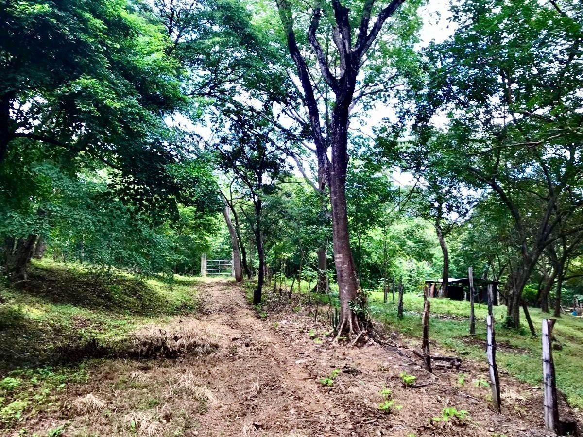 48,000 m² (11.86 Acres) Near Tres Volcanes Golf Course | Sardinal, Guanacaste, photo 1 of 14