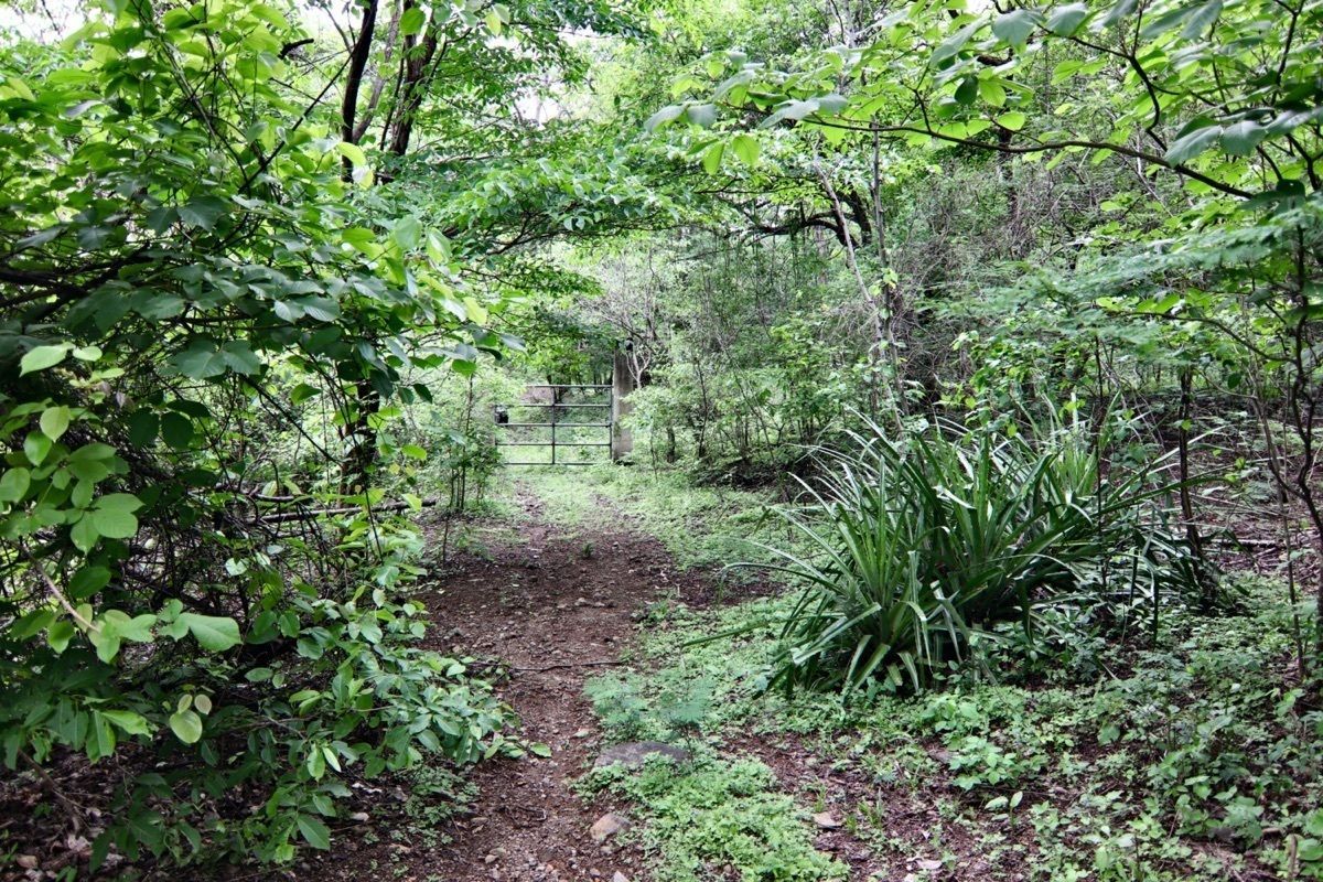 Land in Playas del Coco, Sardinal, photo 6 of 14