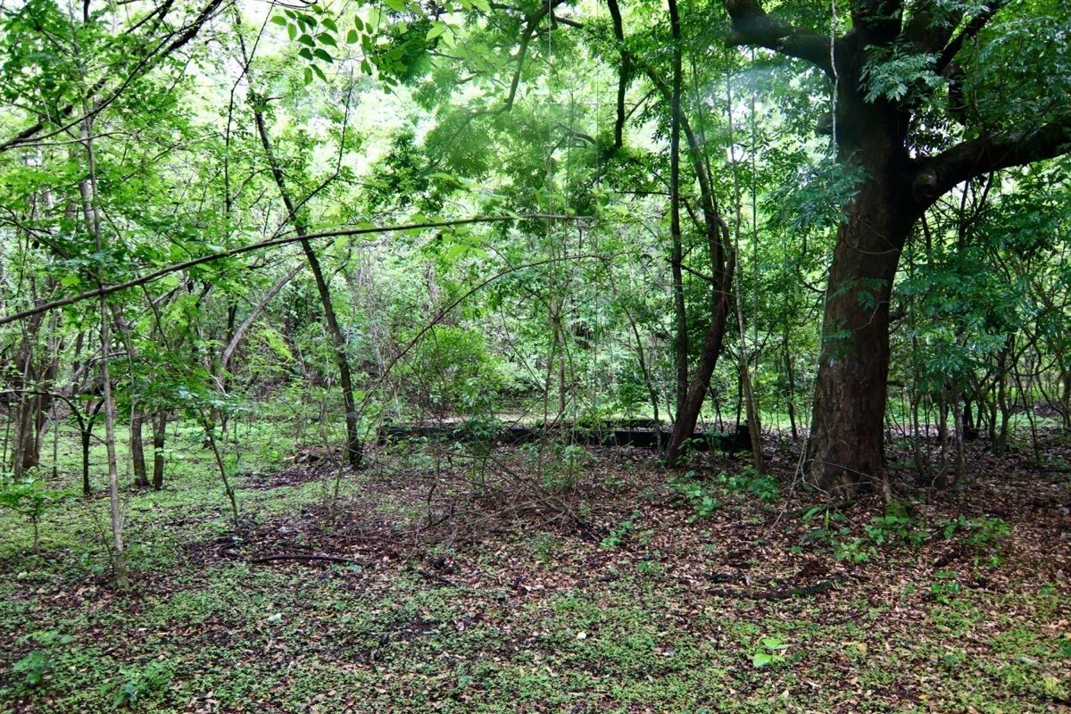 Land in Playas del Coco, Sardinal, photo 7 of 14