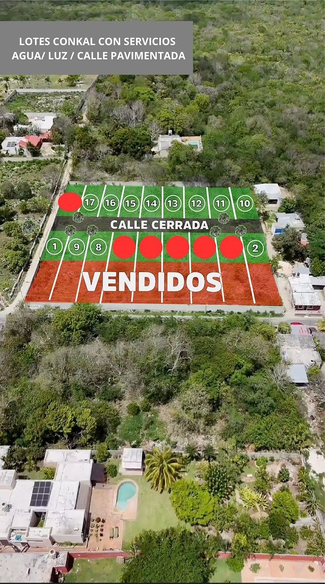 DISPONIBILIDAD AL 31 AGOSTO, foto 1 de 9