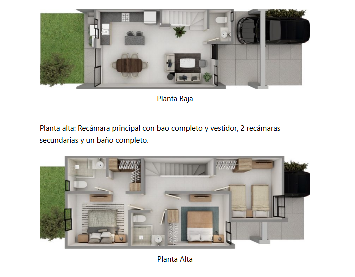 Plantas arquitectónicas, photo 2 of 14