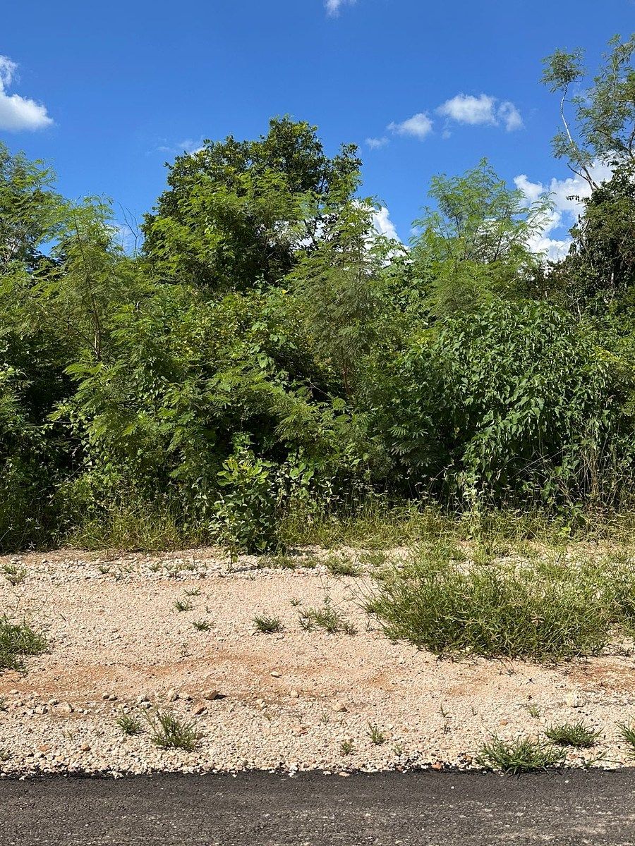 Lote em Kantoina, Conkal, foto 5 de 14