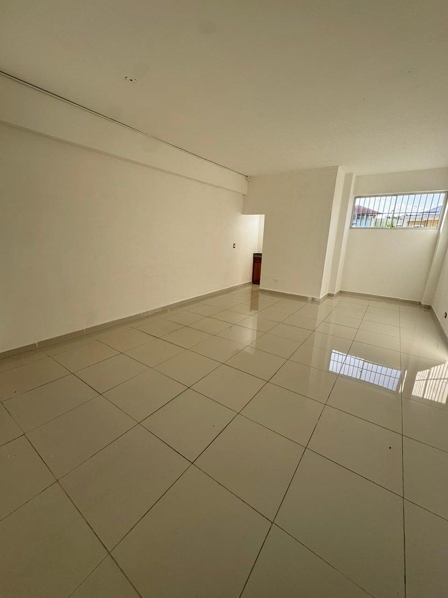Local Comercial en El Millón, Santo Domingo Centro (Distrito Nacional), foto 3 de 5