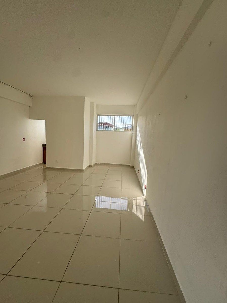 Local Comercial en El Millón, Santo Domingo Centro (Distrito Nacional), foto 4 de 5