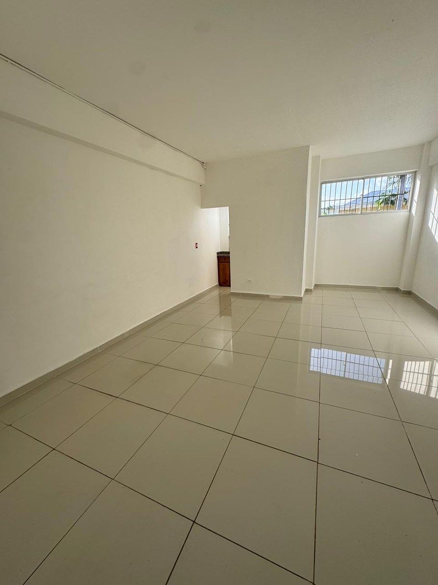 Local Comercial en El Millón, Santo Domingo Centro (Distrito Nacional), foto 5 de 5