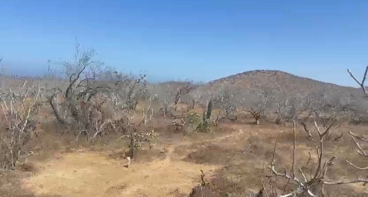 Lot in El Pescadero, La Paz, photo 4 of 6
