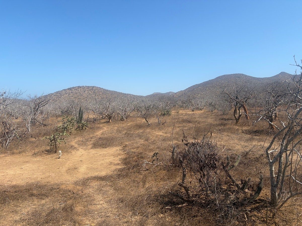 Lot in El Pescadero, La Paz, photo 5 of 6