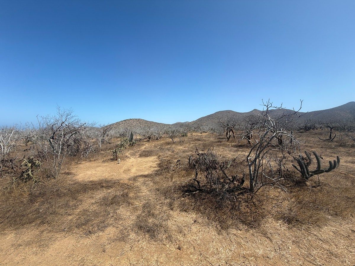 Lot in El Pescadero, La Paz, photo 6 of 6