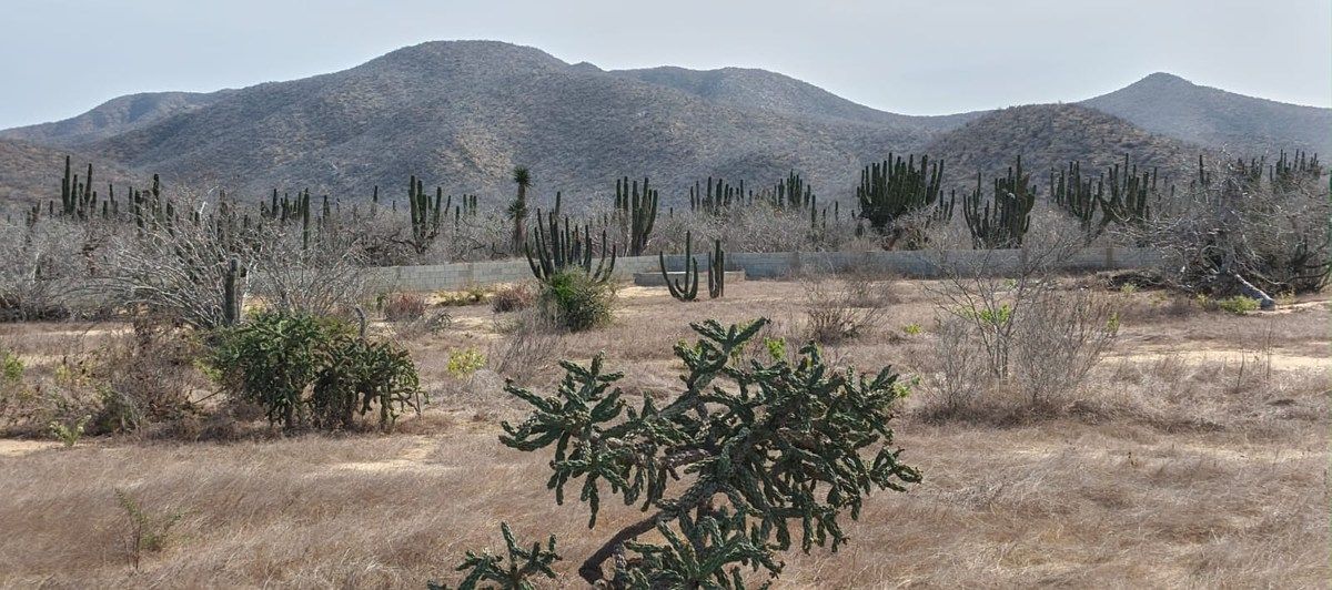 Terreno en El Pescadero, La Paz, foto 3 de 5