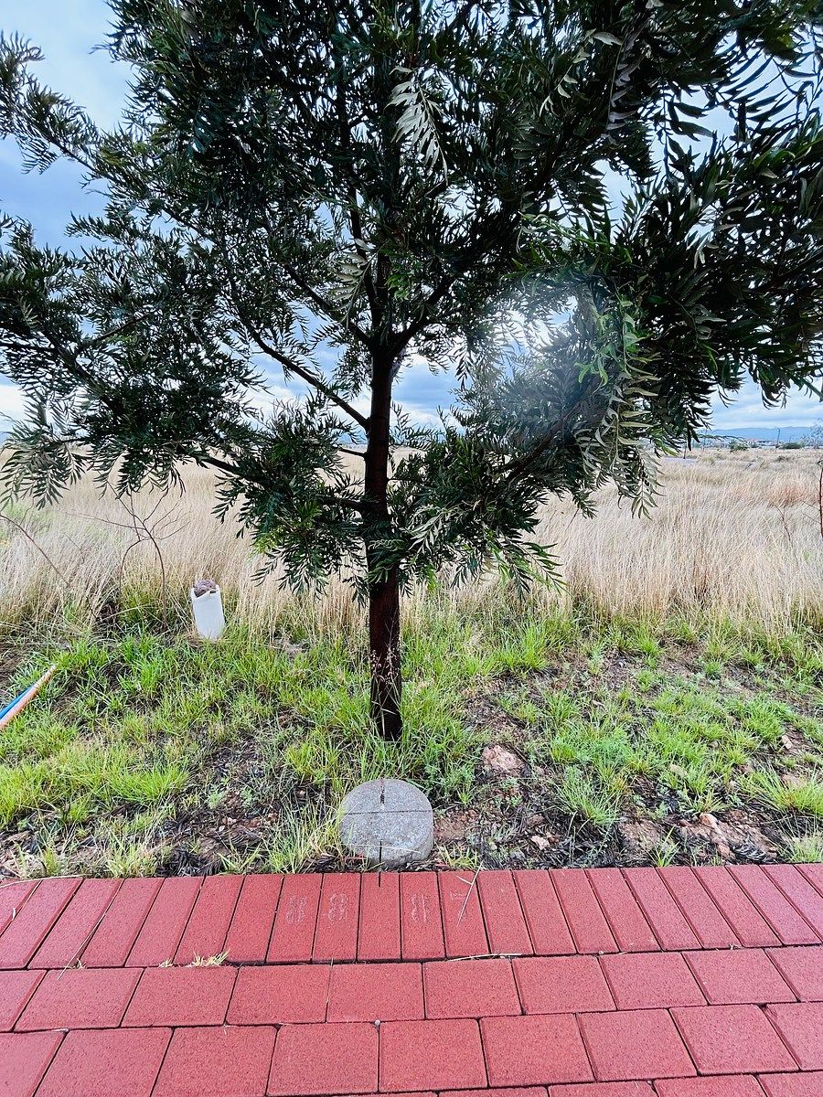 Lot in México, Villa de Reyes, photo 3 of 12