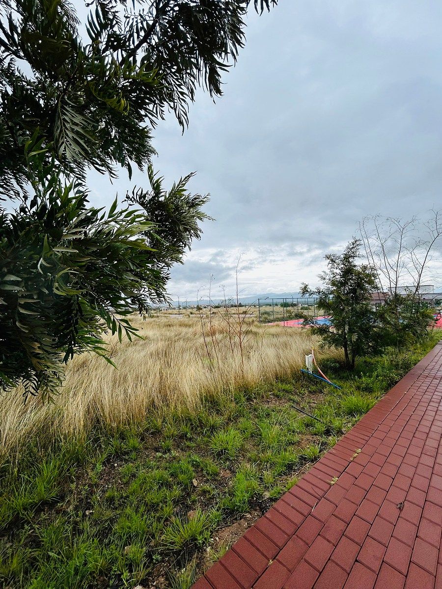 Lot in México, Villa de Reyes, photo 7 of 12