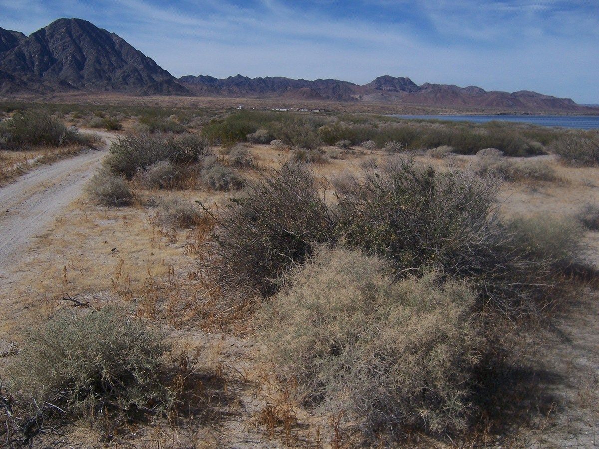 Lote em El Dorado (Ejido Plan Nacional Agrario), San Felipe, foto 10 de 12