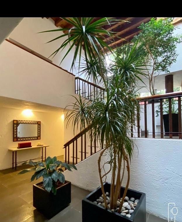 Casa  de diseño Lomas Anahuac, foto 11 de 38