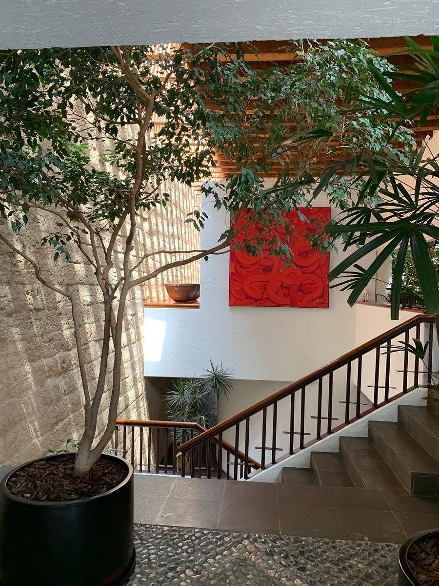 Casa  de diseño Lomas Anahuac, foto 19 de 38