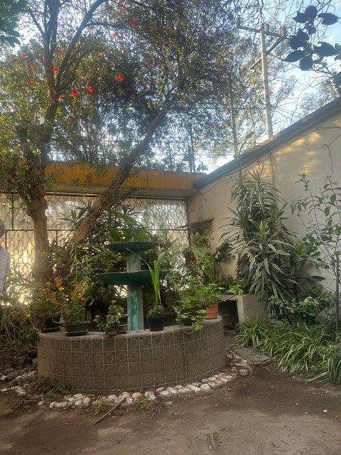 Casa en Prado Coapa 3A Sección, Tlalpan, foto 16 de 17