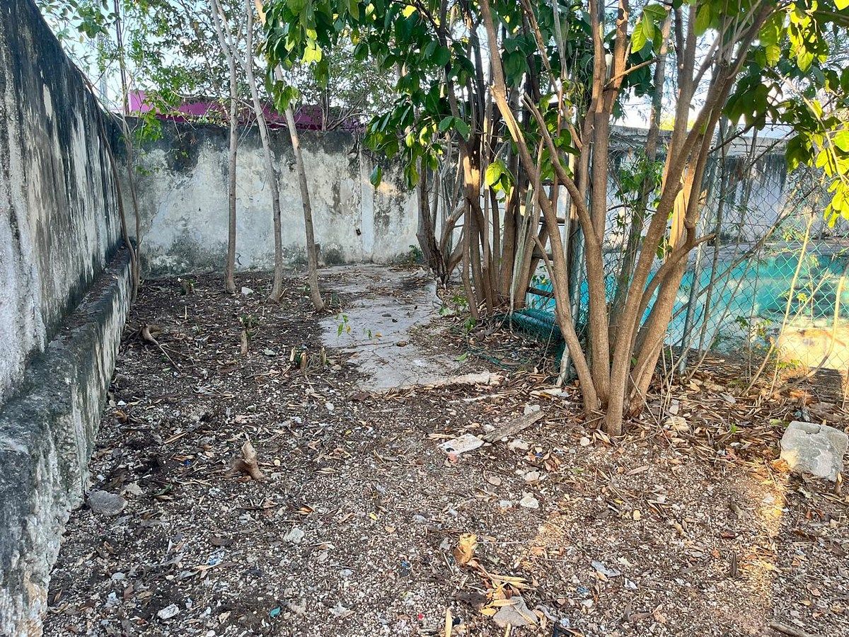 Terreno en venta en colonia Itzimna. - foto 2