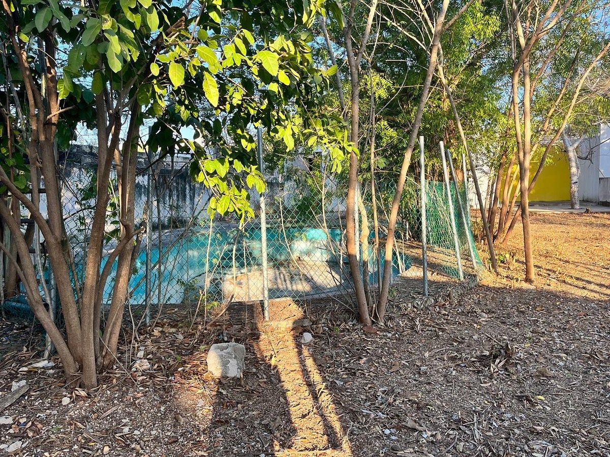 Terreno en Itzimna, Mérida, foto 6 de 35
