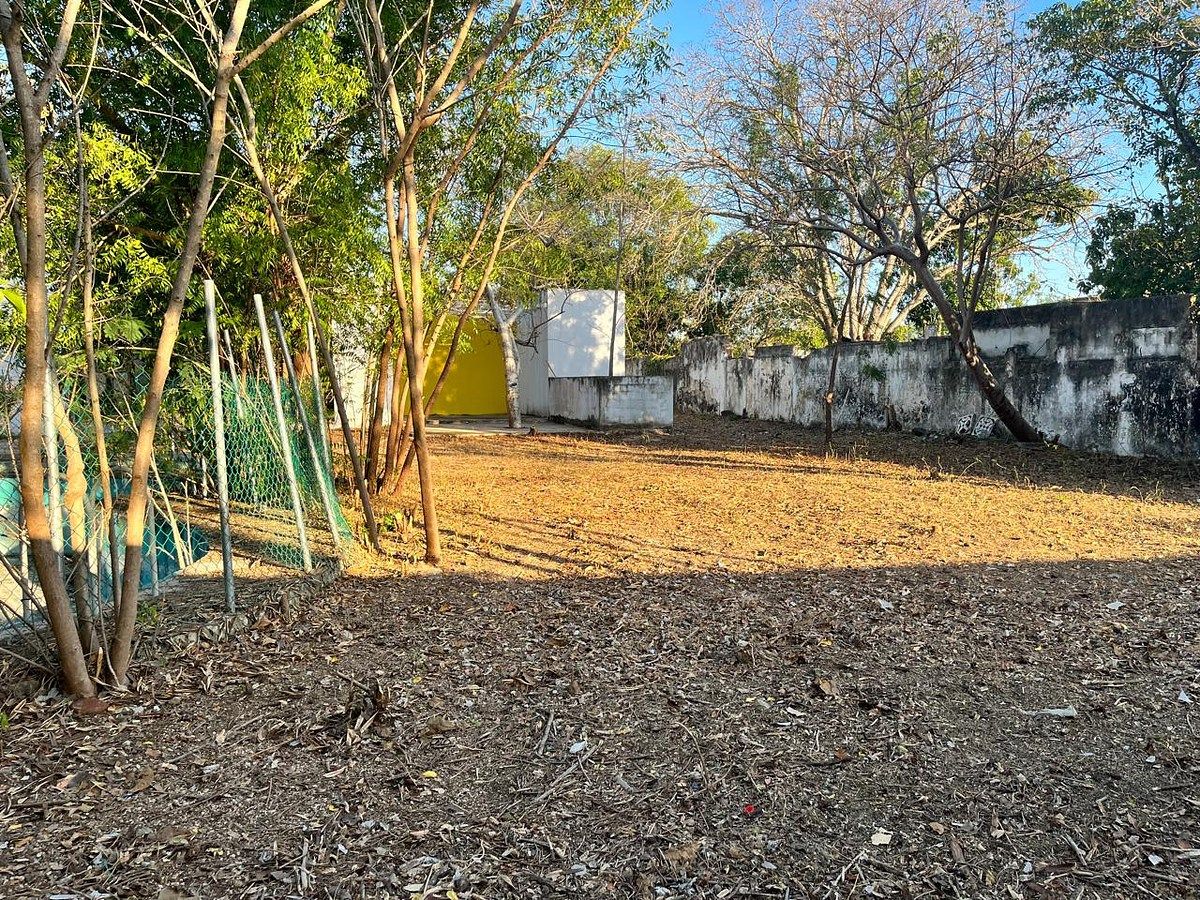 Terreno en Itzimna, Mérida, foto 7 de 35