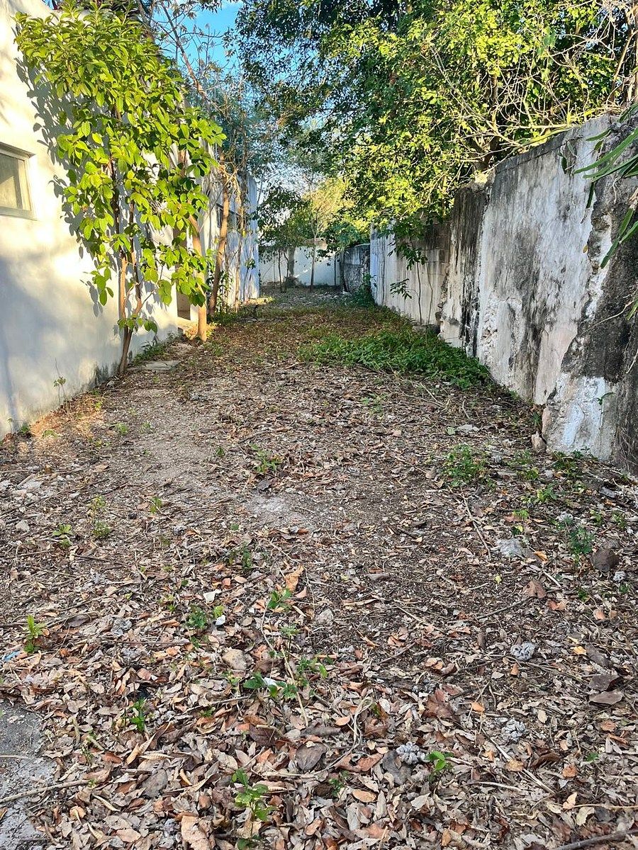 Terreno en Itzimna, Mérida, foto 13 de 35