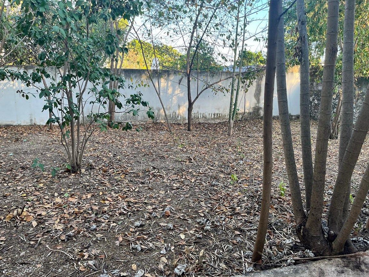 Terreno en Itzimna, Mérida, foto 17 de 35